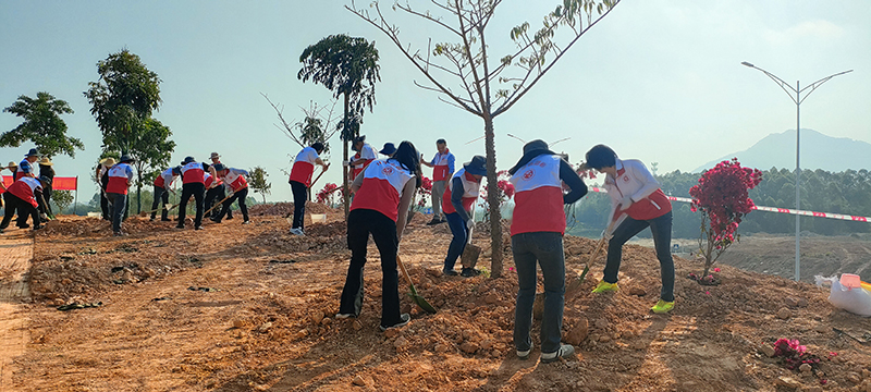 260318江门市开展2026 年全省联动推进绿美广东生态建设义务植树活动 (5).jpg