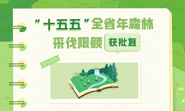 一图读懂广东省人民政府关于全省“十五五”期间年森林采伐限额的批复