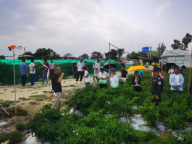 260330江门市开展2026年“爱鸟周”宣传活动!以科学护鸟践行绿美江门生态建设 (3).png