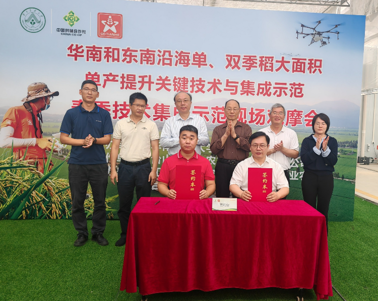 近40位国内农业领域专家汇聚台山为我市水稻大面积单产提升出谋划策