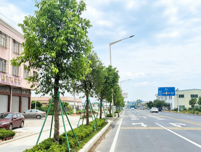 G240线(大江明珠段).png