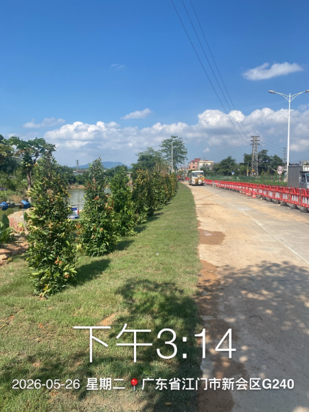 聚力“五边”环境整治  共建绿美畅安公路——新会公路事务中心全力提升国省道路域环境品质