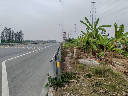 2.环镇路口路段-施工前.jpg