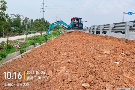 4.胜利南路口对面路段-种植前.jpg