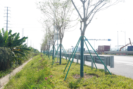 4.胜利南路口对面路段-种植后.JPG
