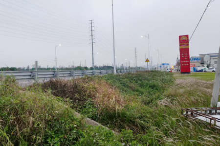 5.加油站路段-种植前.jpg