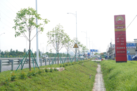 5.加油站路段-种植后.JPG