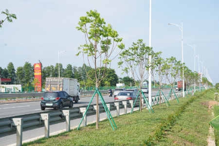 6.加油站对面路段-种植后.JPG