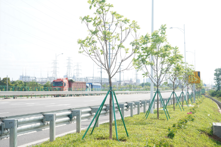 7.六福人家到会乐大桥路段-种植后.JPG