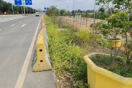 8.AF匝道长廊生态园门前路段-种植前.jpg