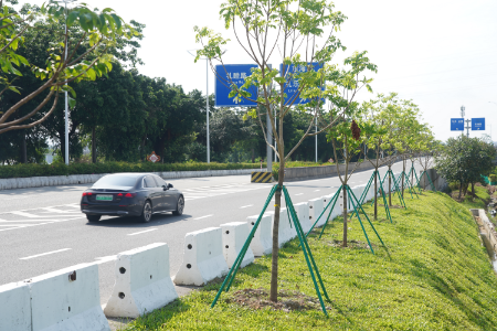 8.AF匝道长廊生态园门前路段-种植后.JPG
