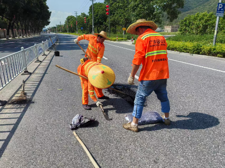 图2：修复路面病害.jpg