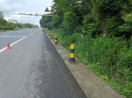 图7：清理路边杂草前.jpg