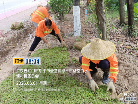 图15：省道369线圣堂段种植草皮前.jpg