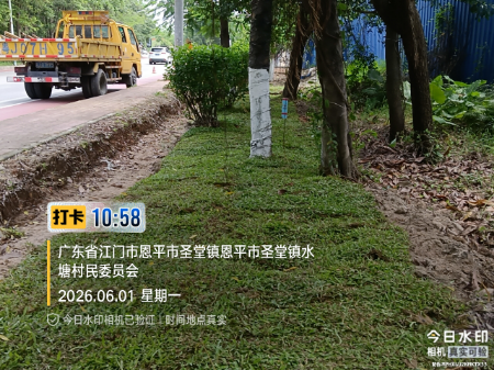 图16：省道369线圣堂段种植草皮后.jpg