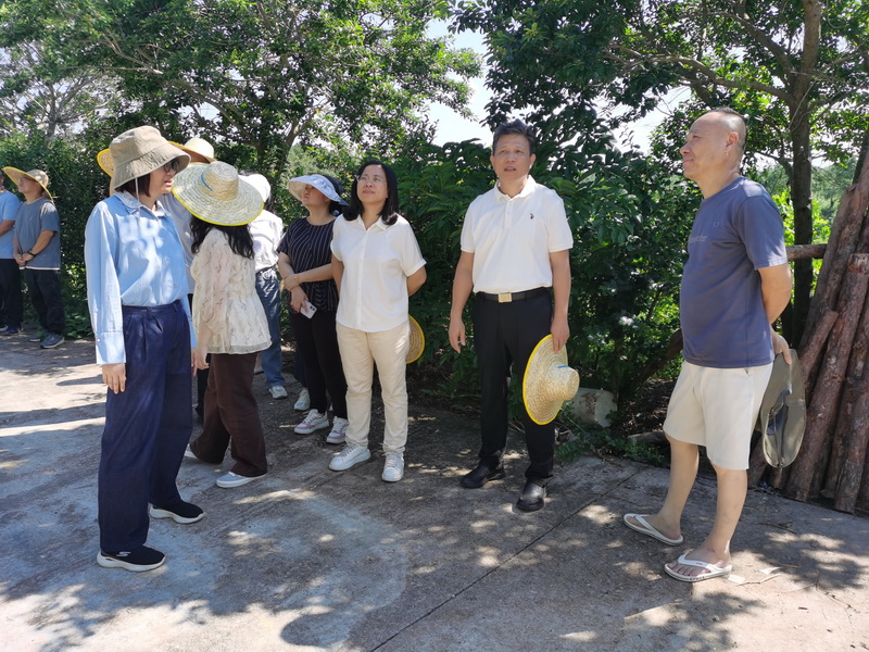 260630江门市自然资源局赴四市三区开展要素保障调研,全力疏通堵点难点服务高质量发展 (4).jpg
