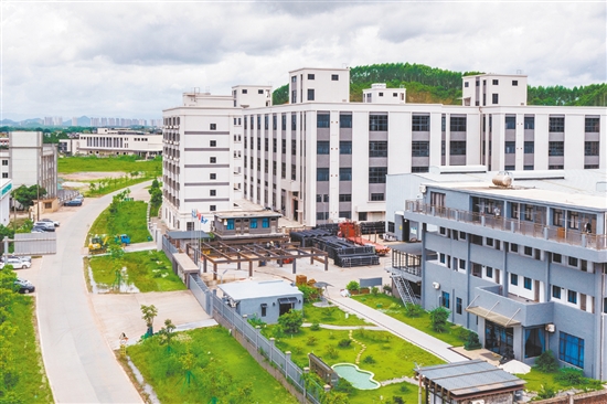 恩平市牛江镇:深耕文旅融合打造特色名镇(图4)