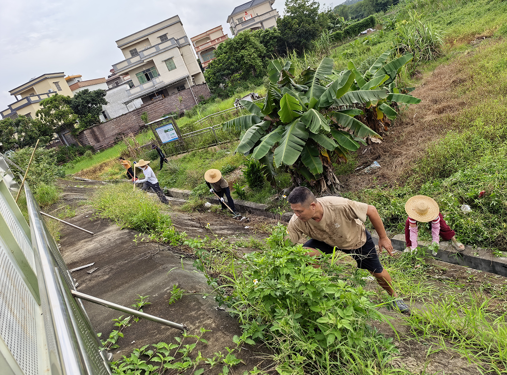 鹤山市2.png