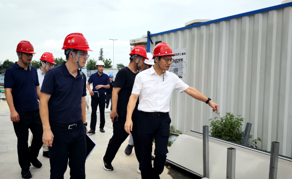 抓实蚊媒防治 守护健康安居｜市住房城乡建设局扎实开展住建领域蚊媒传染病防控工作