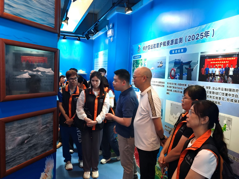260904盛夏八月，江门中华白海豚保护区掀起科普热潮 (10).jpg