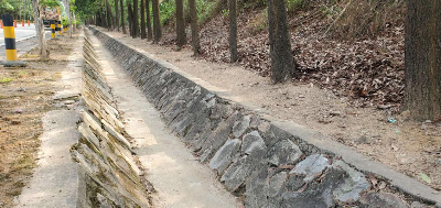善用加法减法 打造美丽廊道 ——市公路事务中心积极