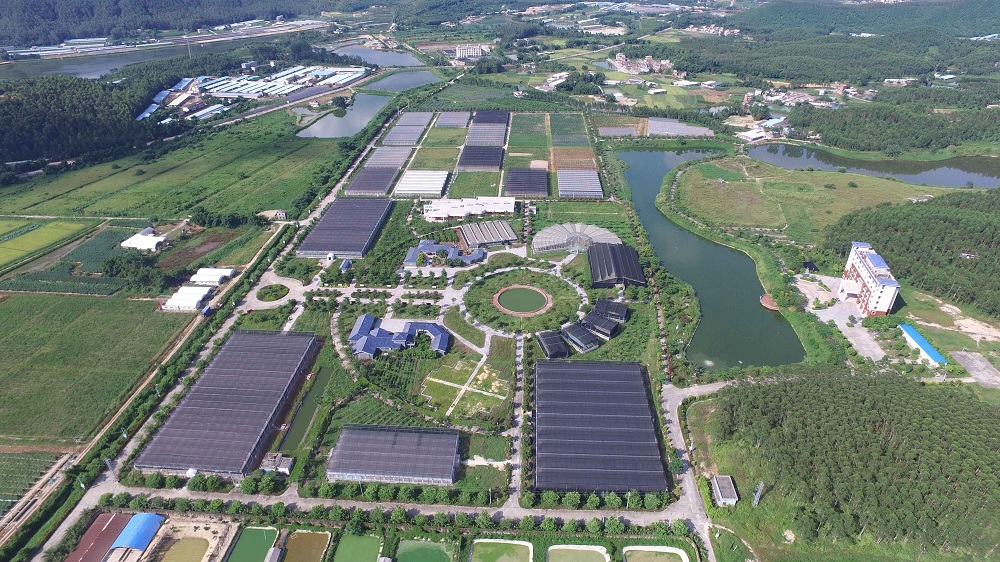 国家农业科技园区企业拟与省科学院生物工程研究所联合申报广东省新型