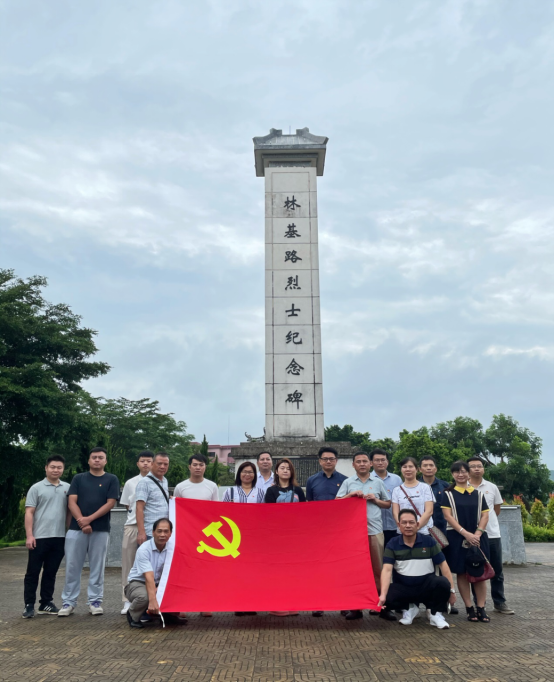 建党100周年黑白画,建党100周年黑白图 重温入党誓词 筑牢初心使命.献礼建党100周年!
