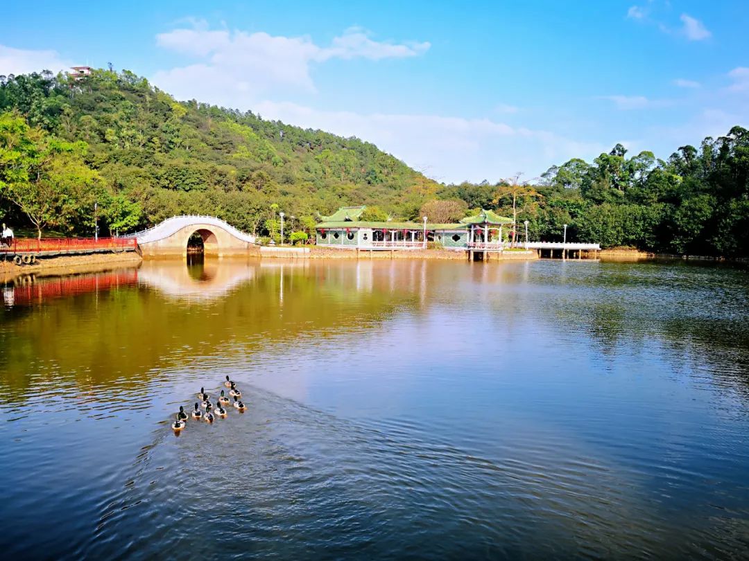 鹤山 大雁山风光]摄影图片】江门市鹤山大雁山风景区风光摄影_paradisebird_太平洋电脑网摄影部落