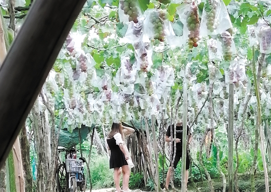 微信截图_20210602085843.png