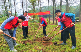 260410“党建引领添新绿，绿美江门齐建设”——市自然资源局机关多支部开展共建主题党日活动 (4).png