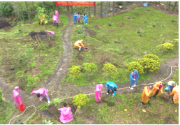 260410“党建引领添新绿，绿美江门齐建设”——市自然资源局机关多支部开展共建主题党日活动 (5).png