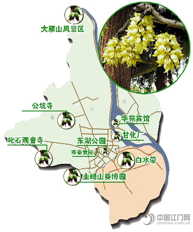 江门人口少_江门地图(2)