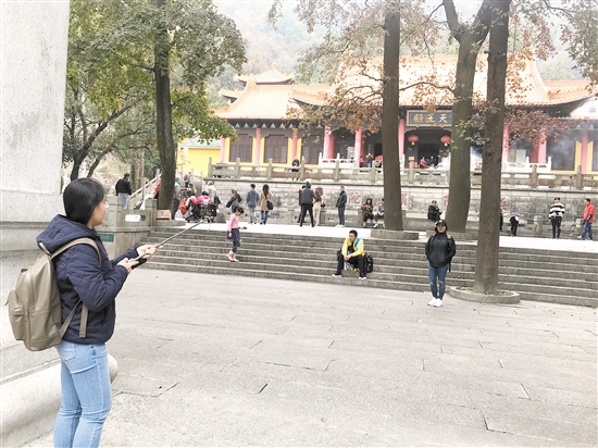 圭峰山的枫叶吸引了不少游客前去拍照。何雯意
