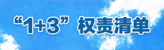“1+3”权责清单