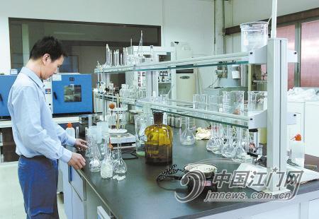 中国江门-政务之窗