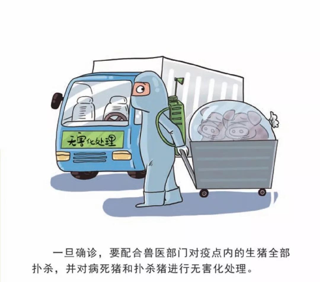 云南人口买卖市场_云南人口密度分布图(2)