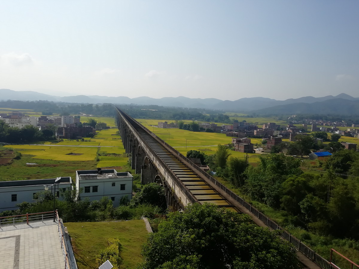890.jpg