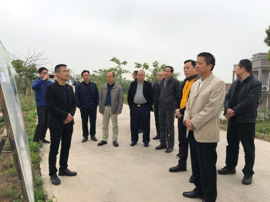 已处理1551323795334微信图片_201902281108511.jpg