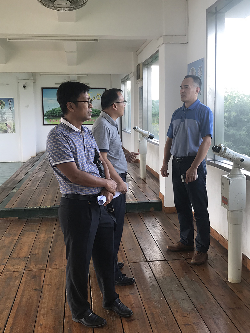 191015江门市自然资源局领导到小鸟天堂和孔雀湖国家湿地公园调研督导 (1).jpg