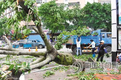 点击图片查看详情 江门龙湾立交_龙湾温泉_江门龙湾海鲜街(4)