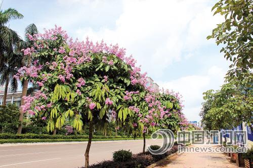 国家森林城市人均公园_人均公园绿化面积(3)