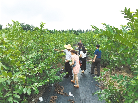 销事业新天地-政务要闻-江门市人民政府门户网站