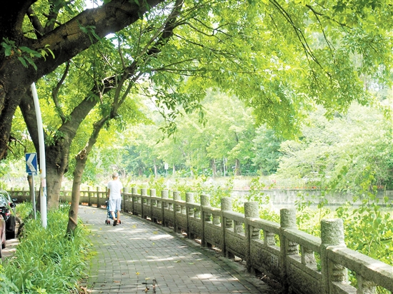 天沙河水质变好、环境怡人,河边绿道成为市民休闲散步好去处。