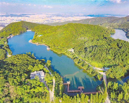 莫斯科人均绿地面积_西安市人均绿地面积(3)