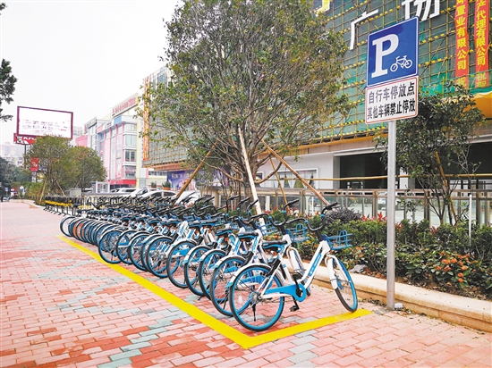 我市10条示范路段共享单车停车位已启用,执法部门将对示范路段的共享单车进行监管。2月4日前为自我整改期,2月5日起将进行严格执法。 我市10条示范路段共享单车停车位已启用,执法部门将对示范路段的共享单车进行监管。2月4日前为自我整改期,2月5日起将进行严格执法。