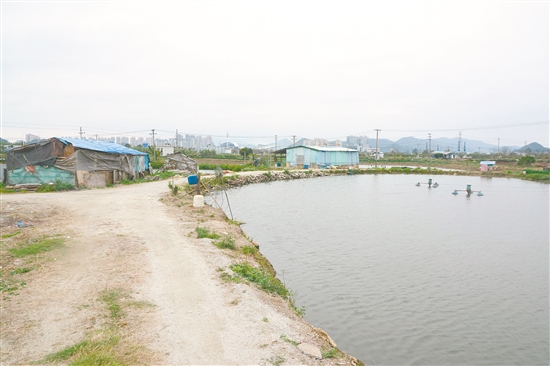 我市多幅靓地即将摘牌 滨江新城挂牌地块受关