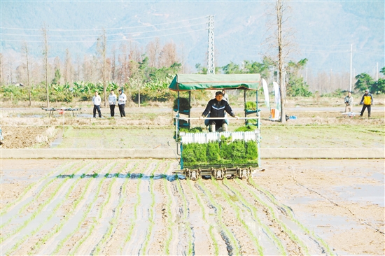 我市全国人大代表:对标新要求实干加快乡村振兴