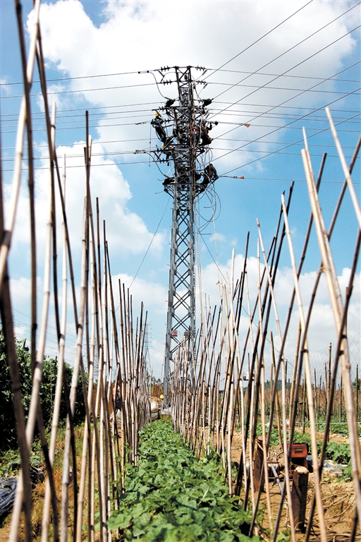 江门供电:完成192条中心村及农村电网改造升级