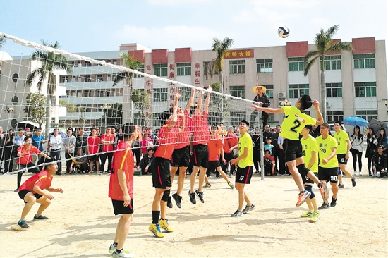 向世界展示江门风采 排球之乡 迎来顶级赛事-政