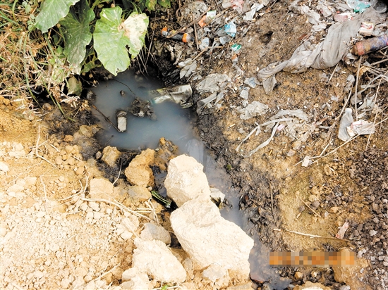 我市检察机关一年来发出行政公益诉讼诉前程序